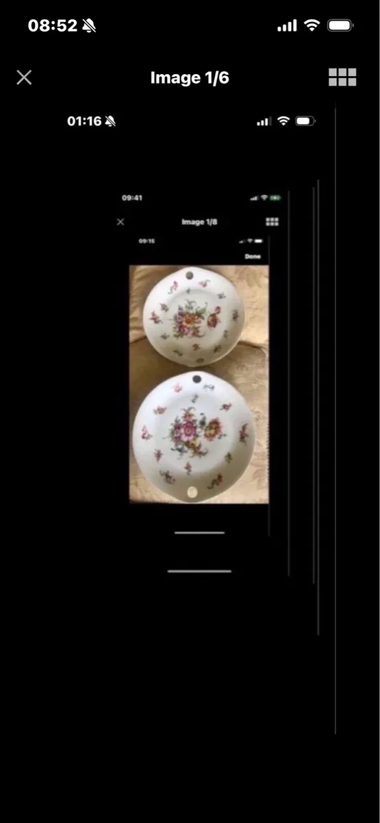 Antique Hand Painted Meissen Plate Set - Image 1