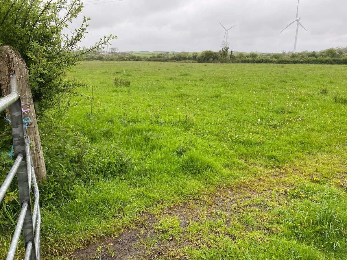 5 Acres - Image 2