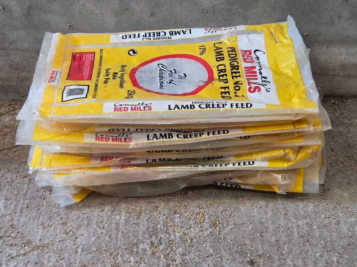 Plastic Meal Bags - Image 1