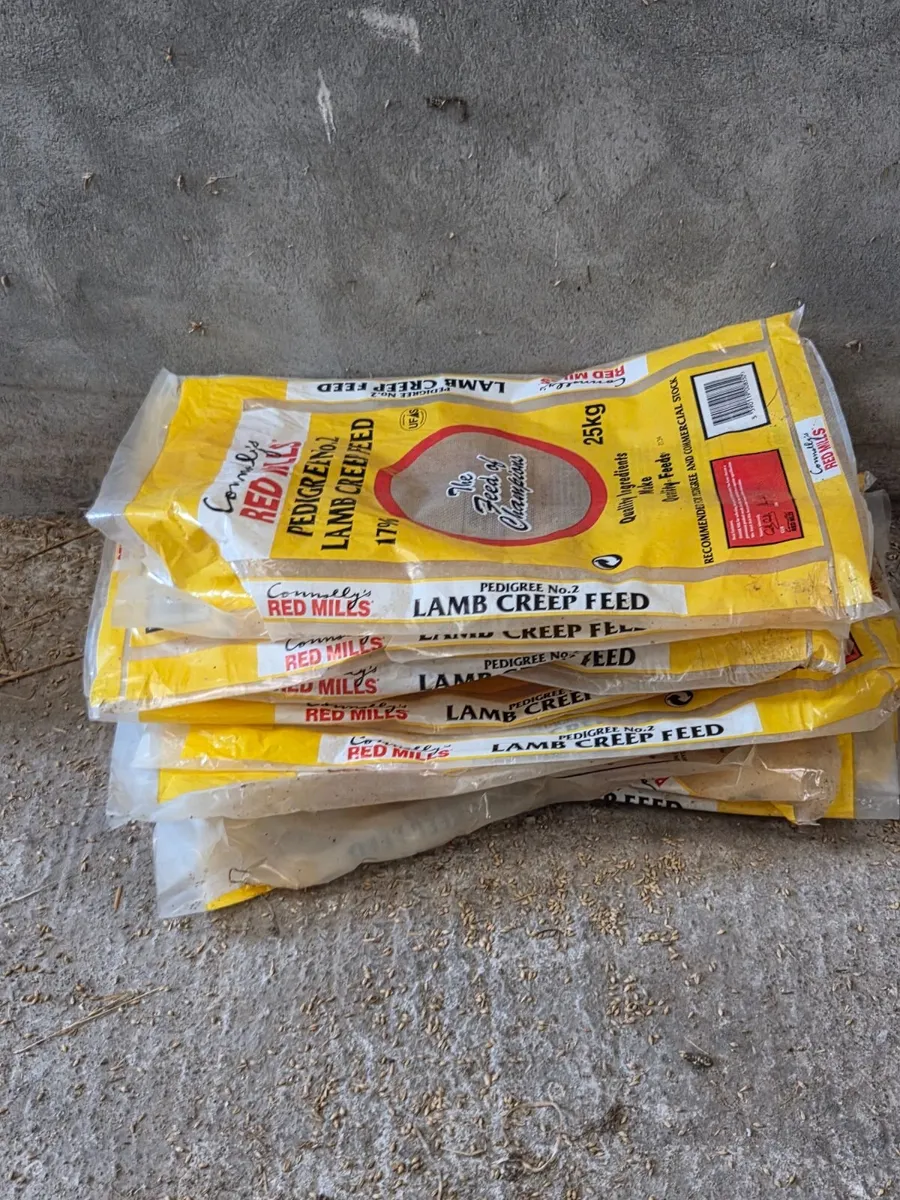 Plastic Meal Bags - Image 2