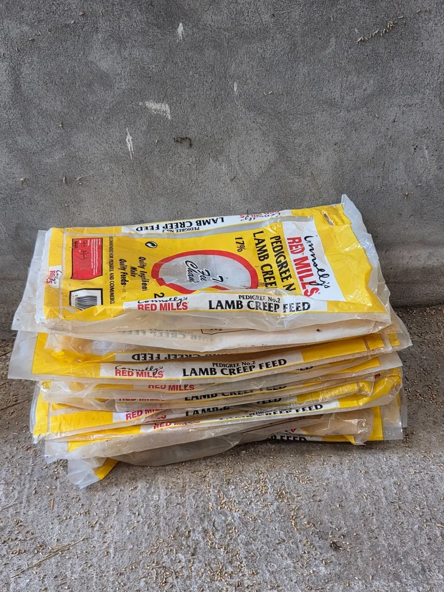 Plastic Meal Bags - Image 3