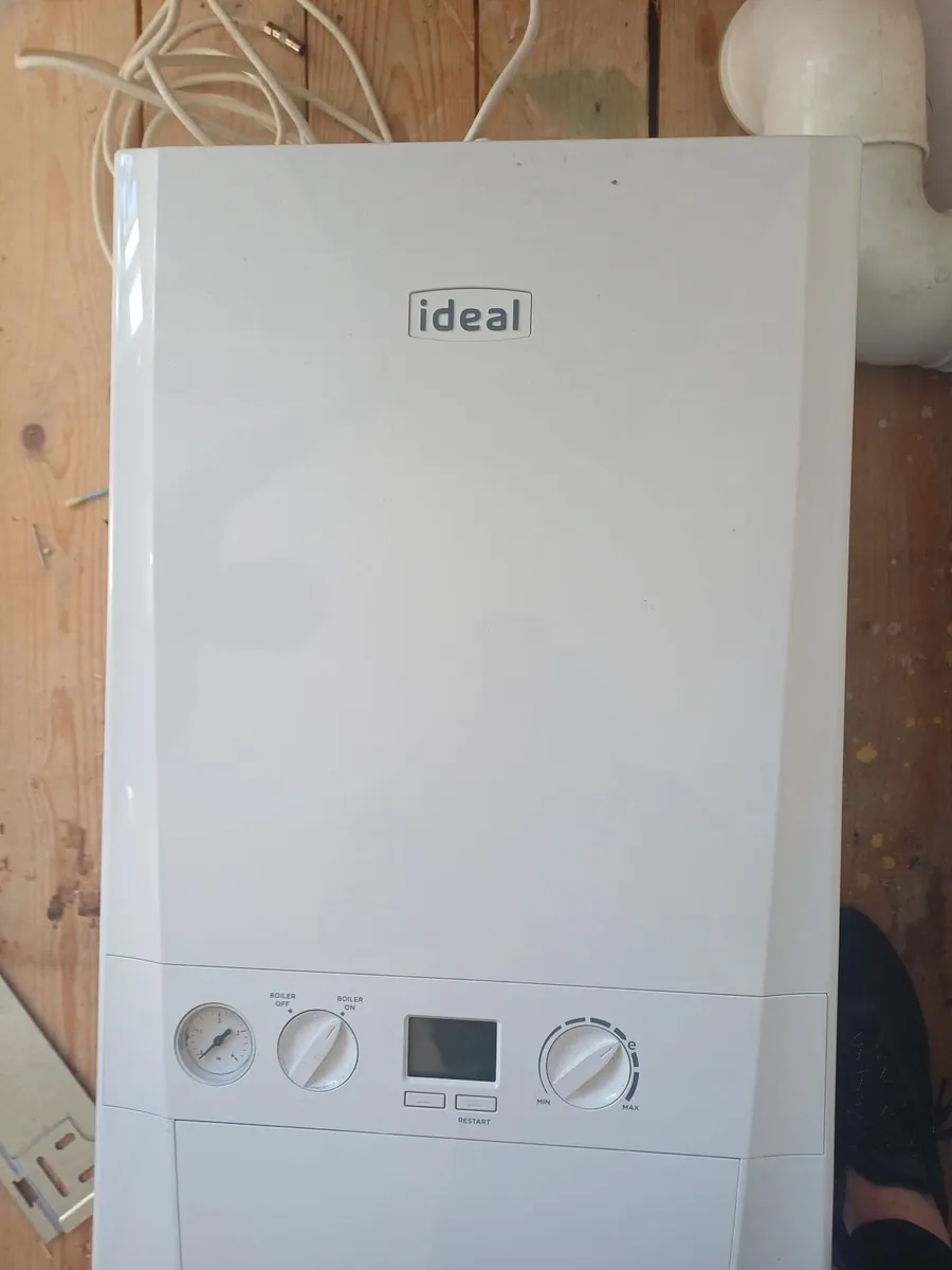 Gas Boiler & Flu - Image 3