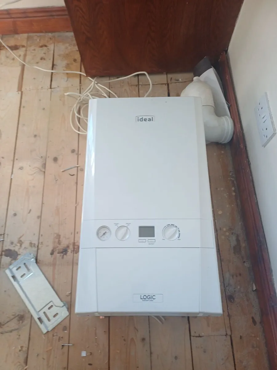 Gas Boiler & Flu - Image 4