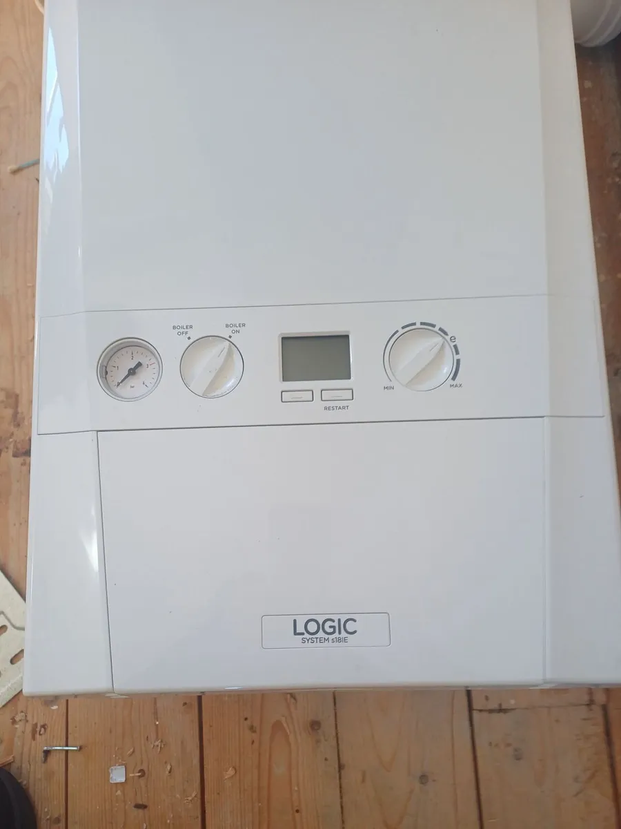 Gas Boiler & Flu - Image 1