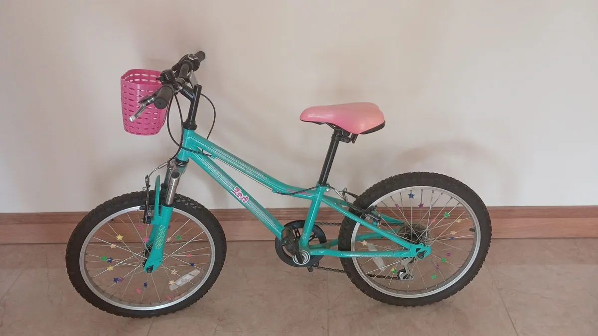20" bike - Image 1