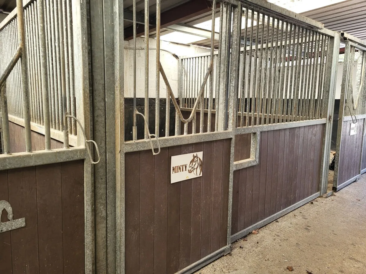 Horse Walker and Stable Doors & Dividers - Image 3