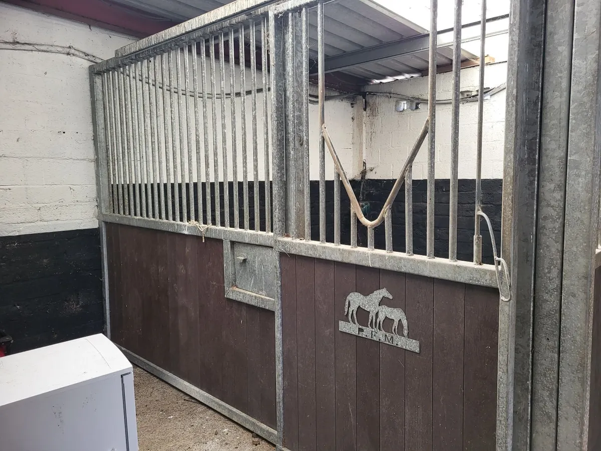 Horse Walker and Stable Doors & Dividers - Image 4