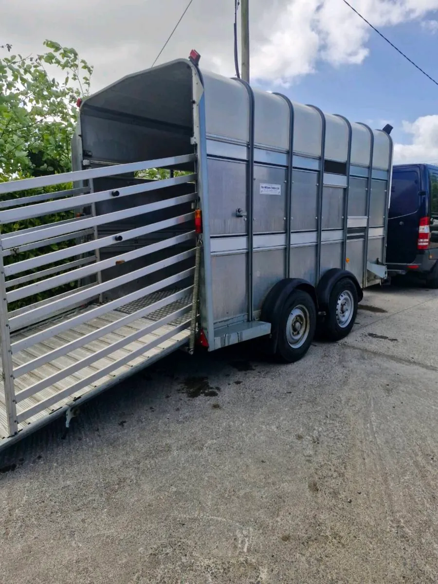 Ifor williams Ta510 12ft hf - Image 3