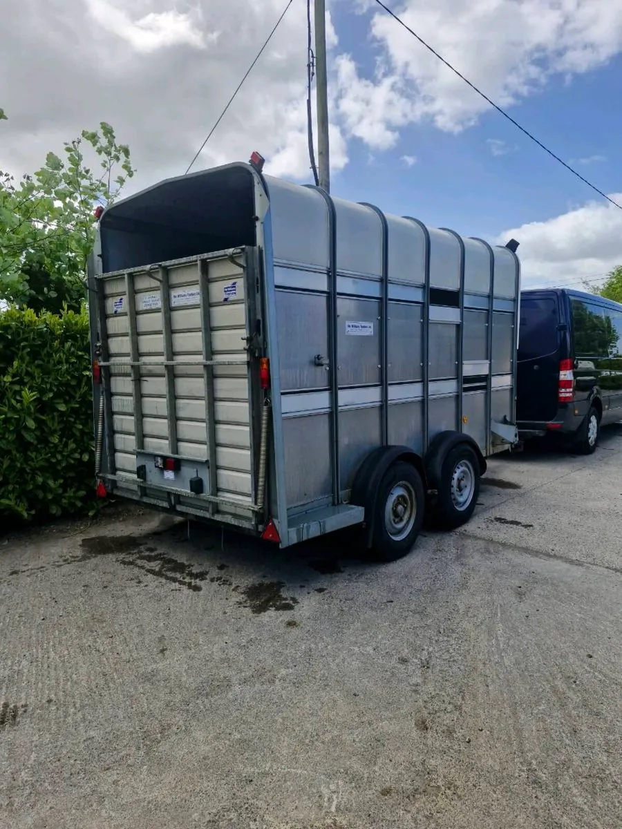 Ifor williams Ta510 12ft hf - Image 2