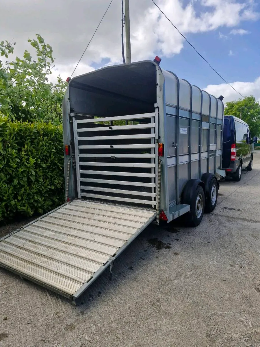 Ifor williams Ta510 12ft hf - Image 4