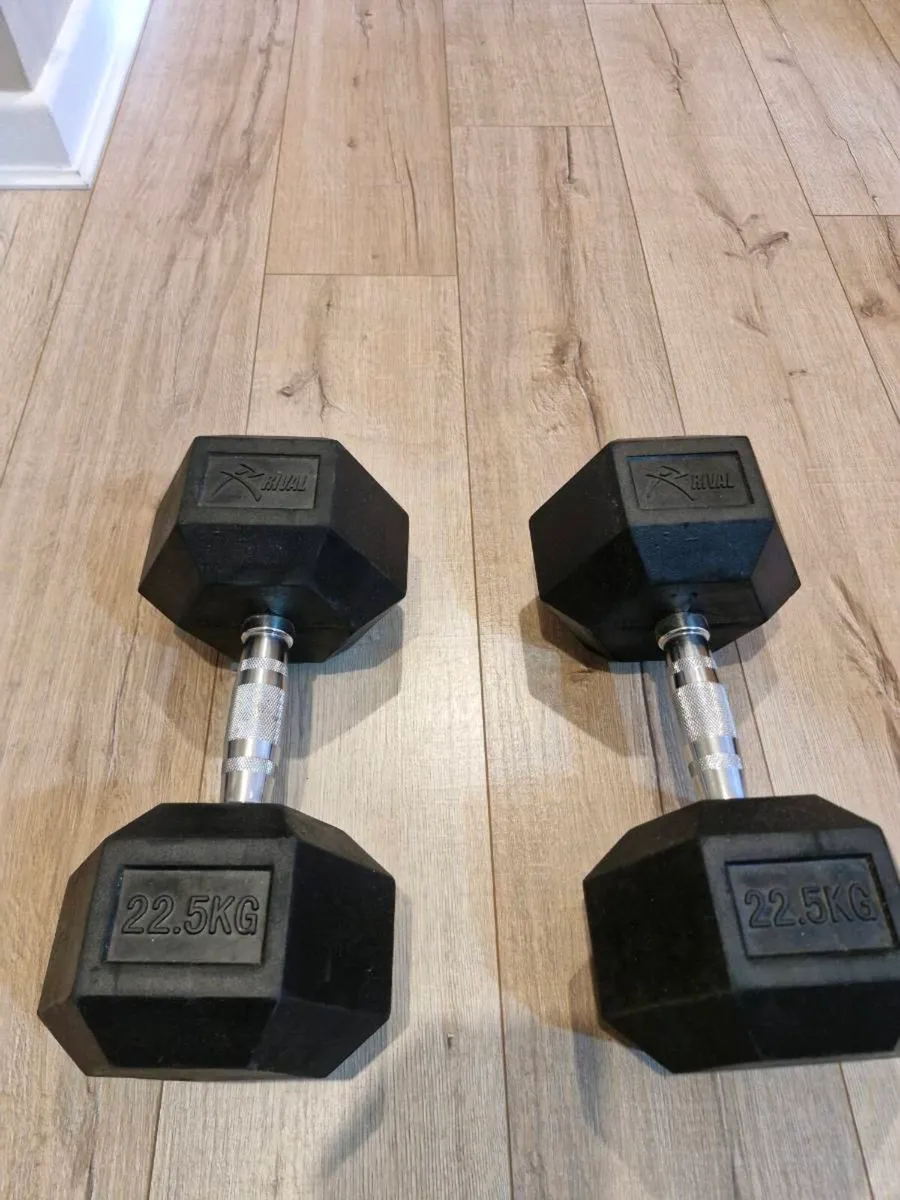 22.5kg Rubber Hex Dumbbells – Excellent Condition - Image 1
