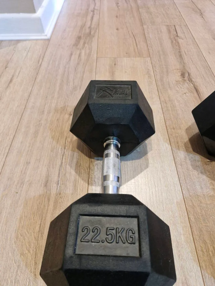 22.5kg Rubber Hex Dumbbells – Excellent Condition - Image 2