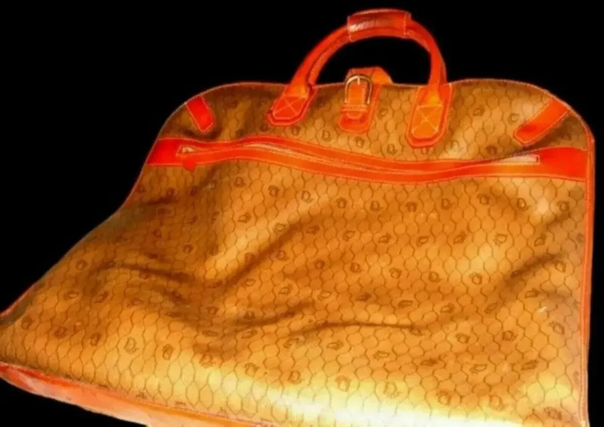 Vintage Authentic Dior Garment Bag - Image 1
