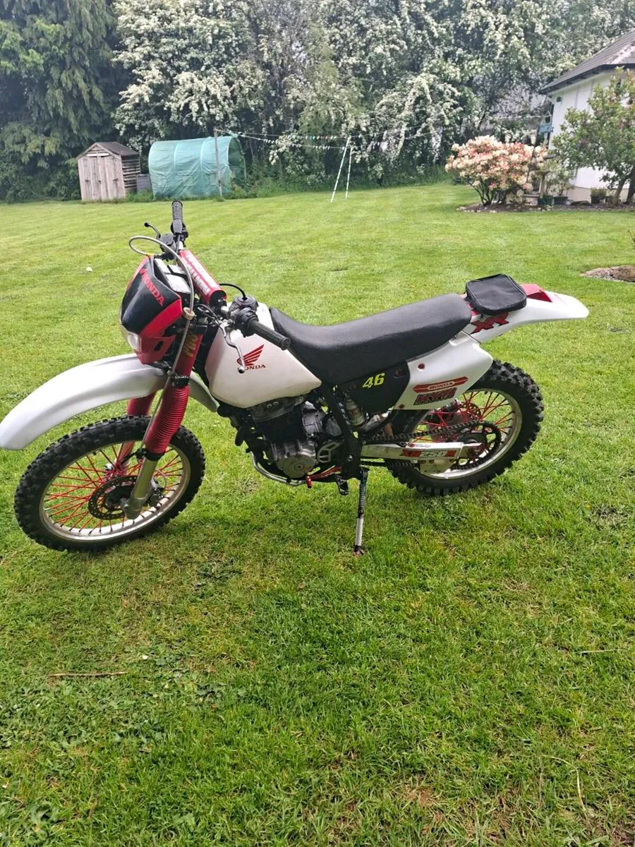 1999 honda xr250 - Image 1