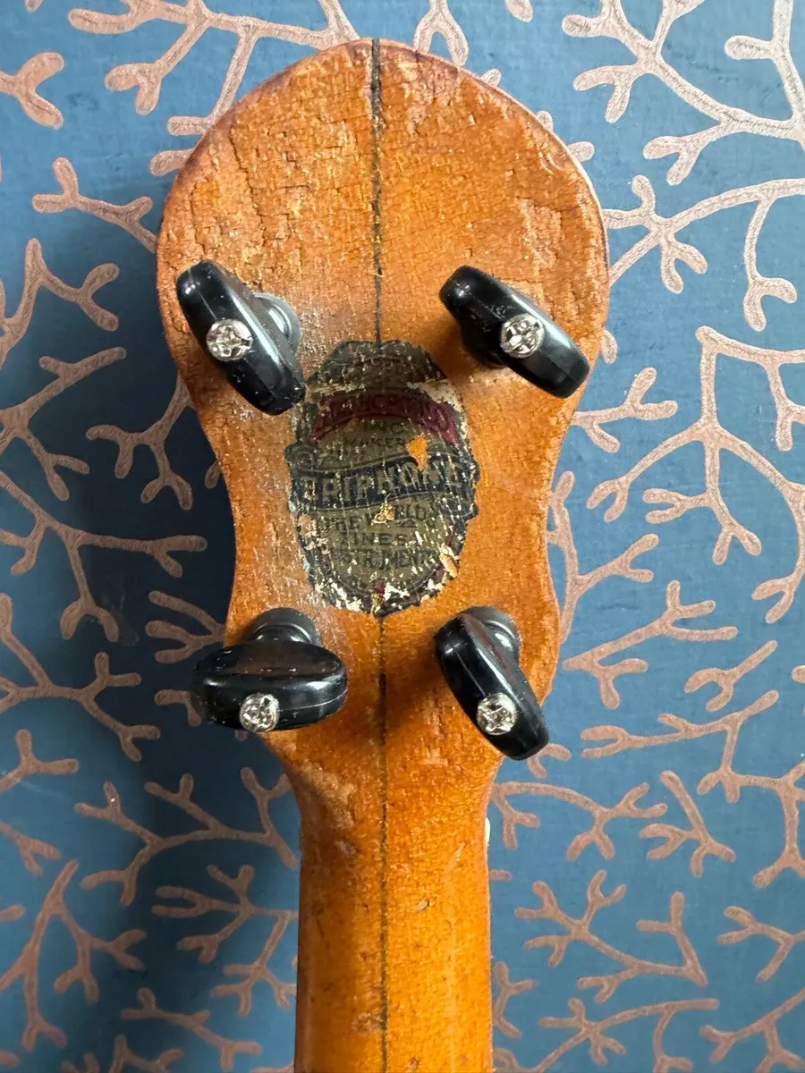 Epiphone banjo uke - Image 3