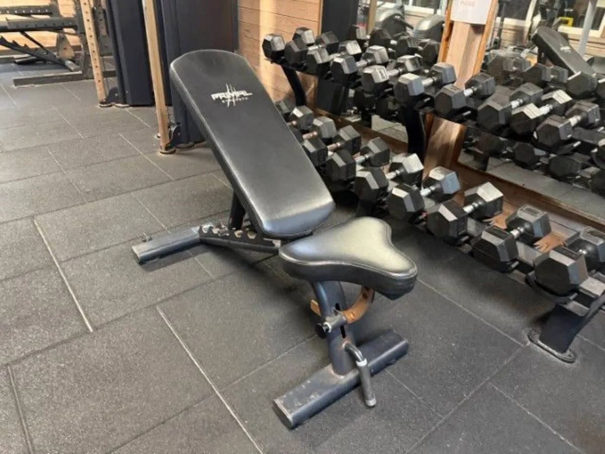 Online Gym Equipment Auction - Image 2