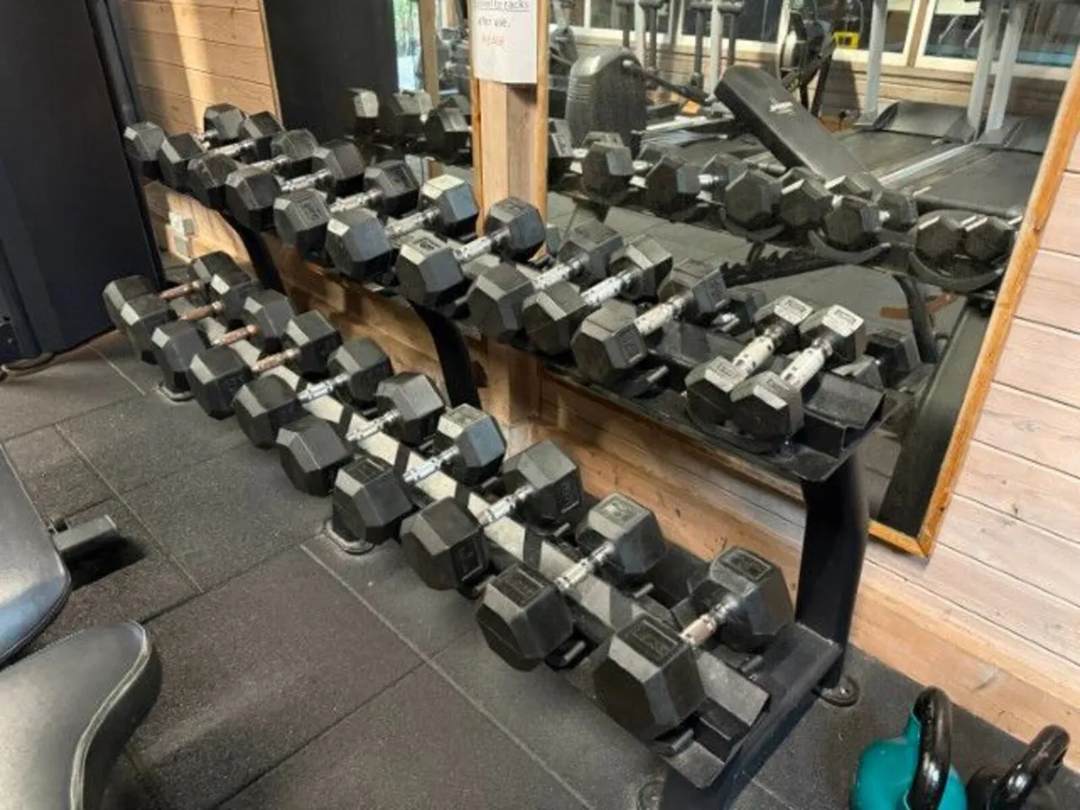 Online Gym Equipment Auction - Image 2