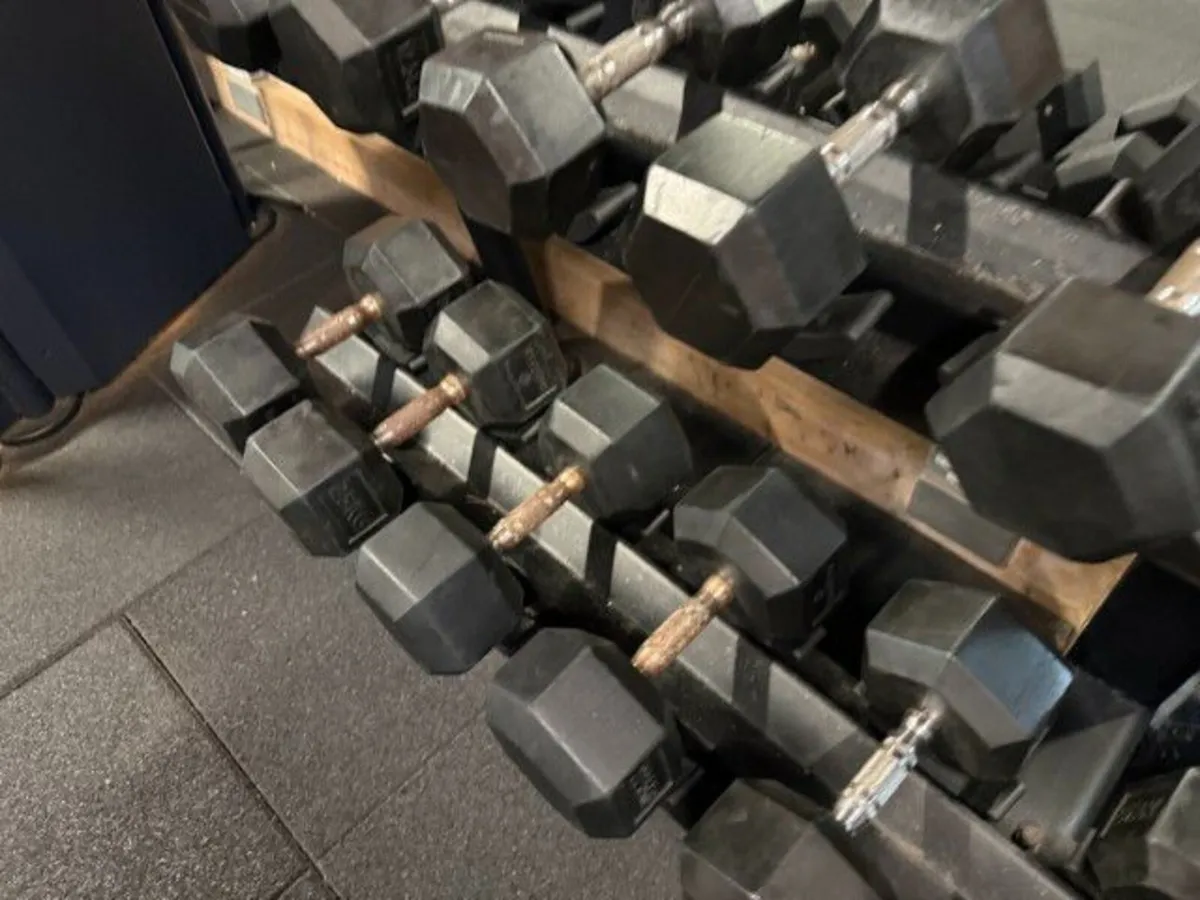 Online Gym Equipment Auction - Image 3