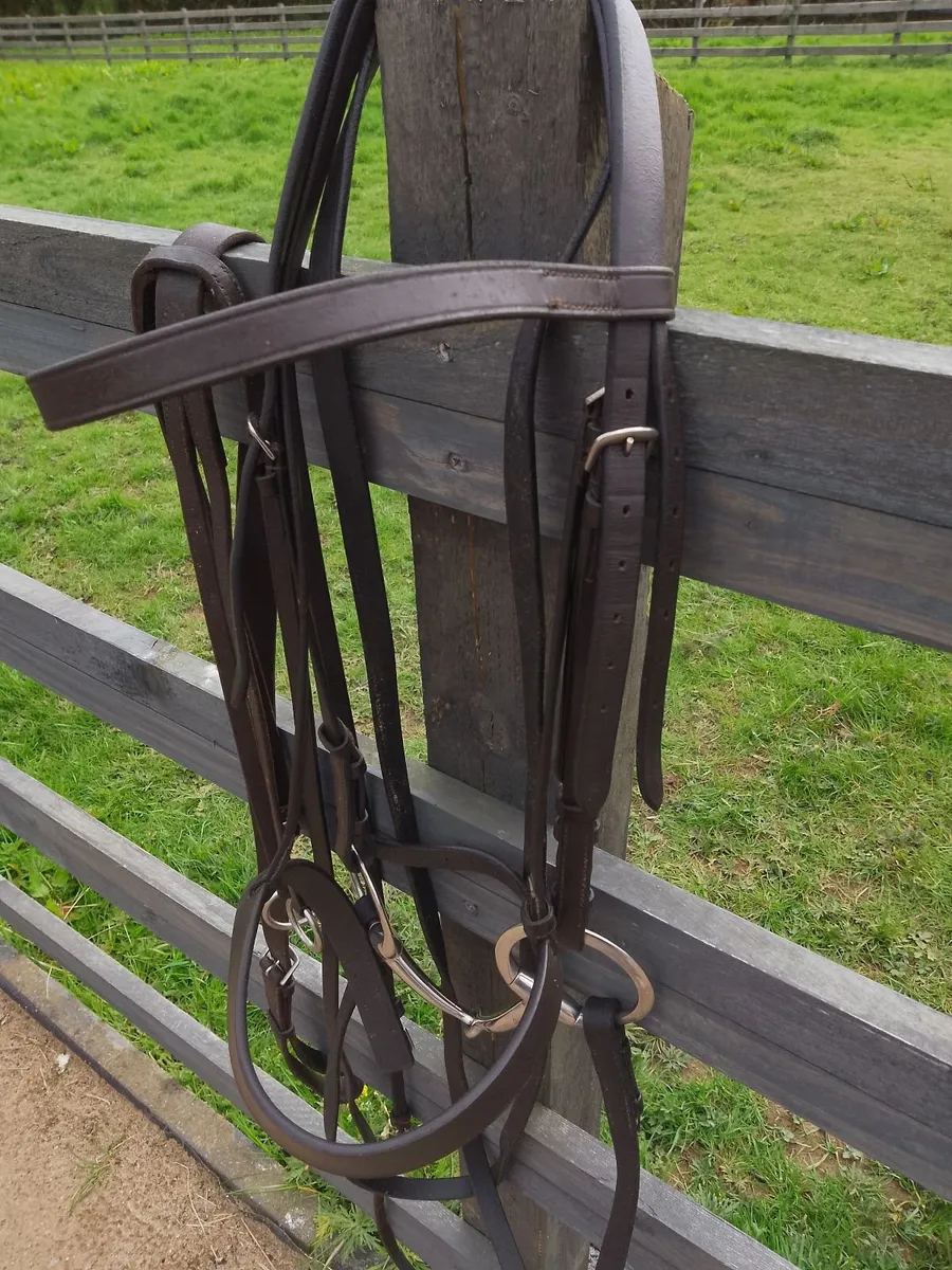 Horse Bridle - Image 3