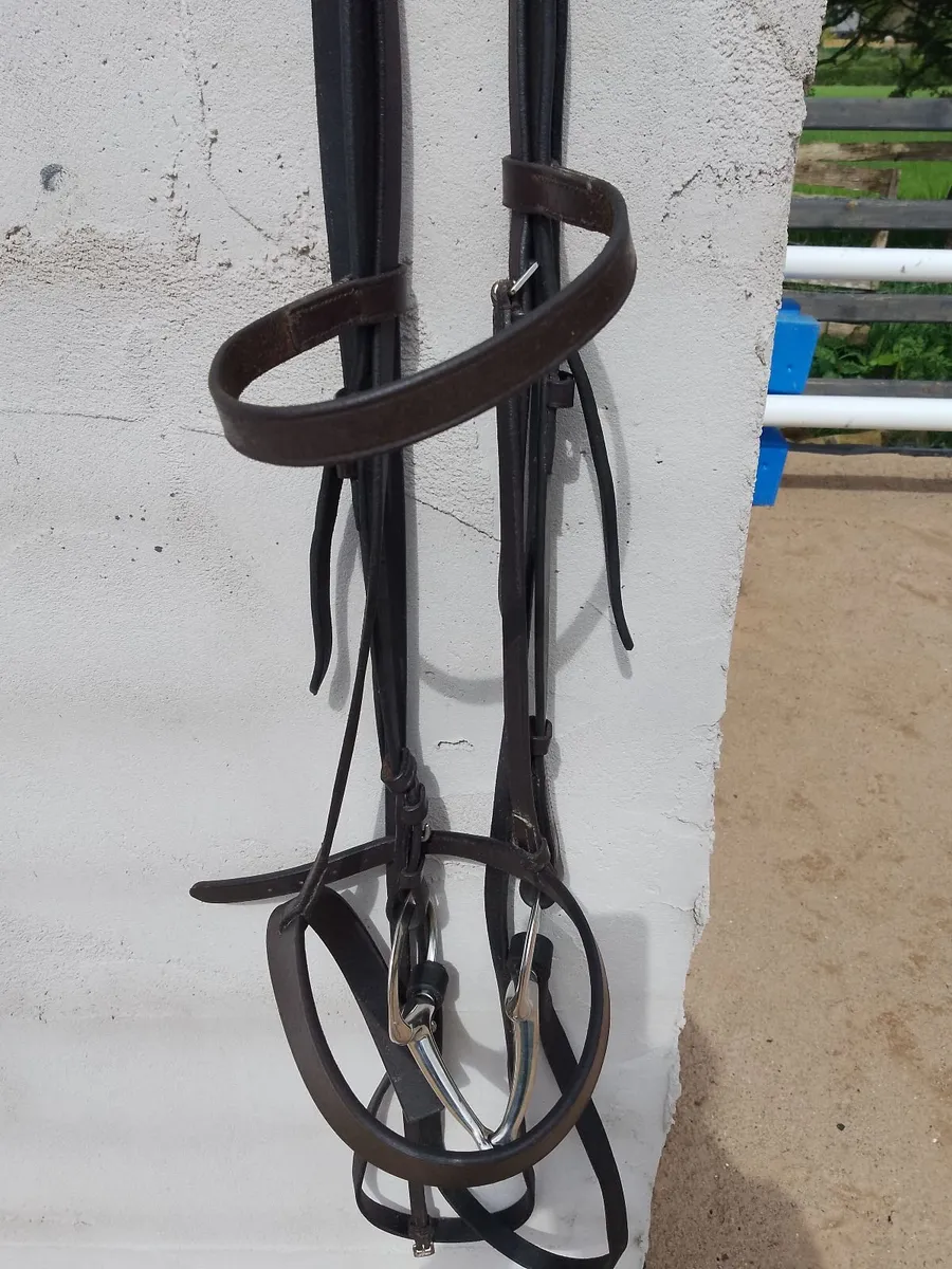Horse Bridle - Image 4