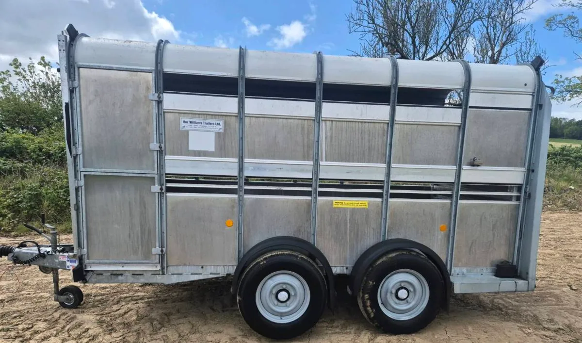 Ifor williams 12 x 6 cattle trailer - Image 4