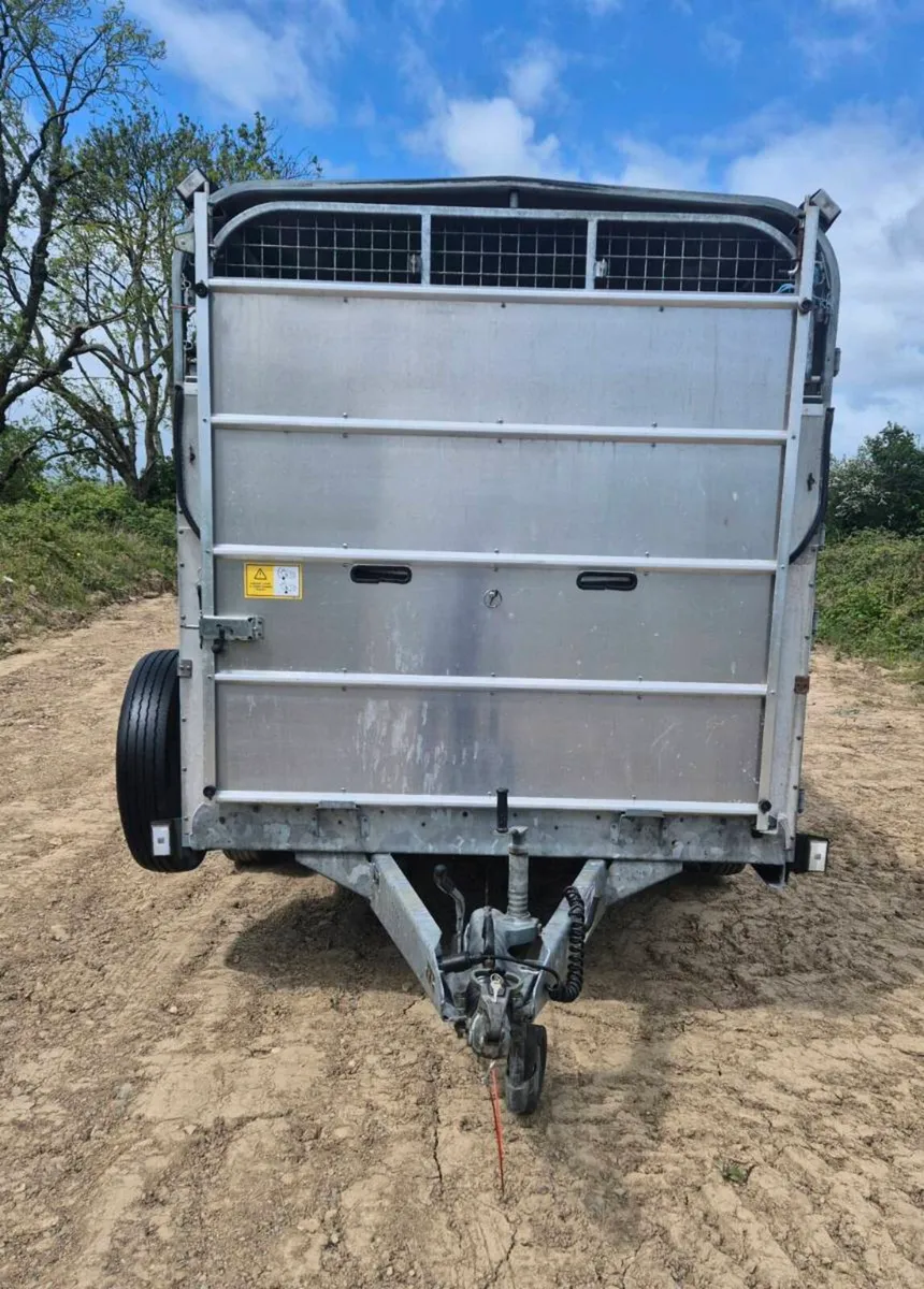 Ifor williams 12 x 6 cattle trailer - Image 2