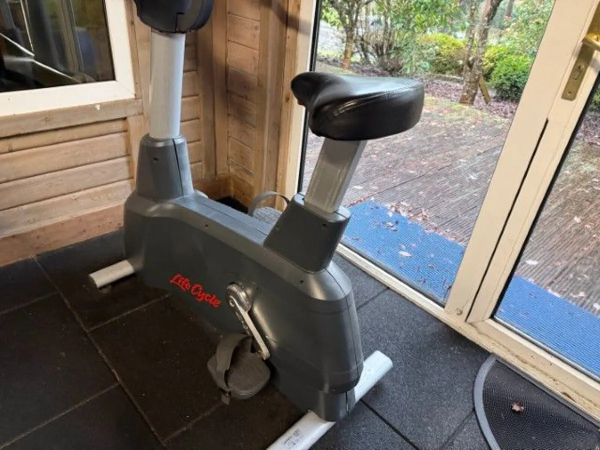 Online Gym Equipment Auction - Image 3