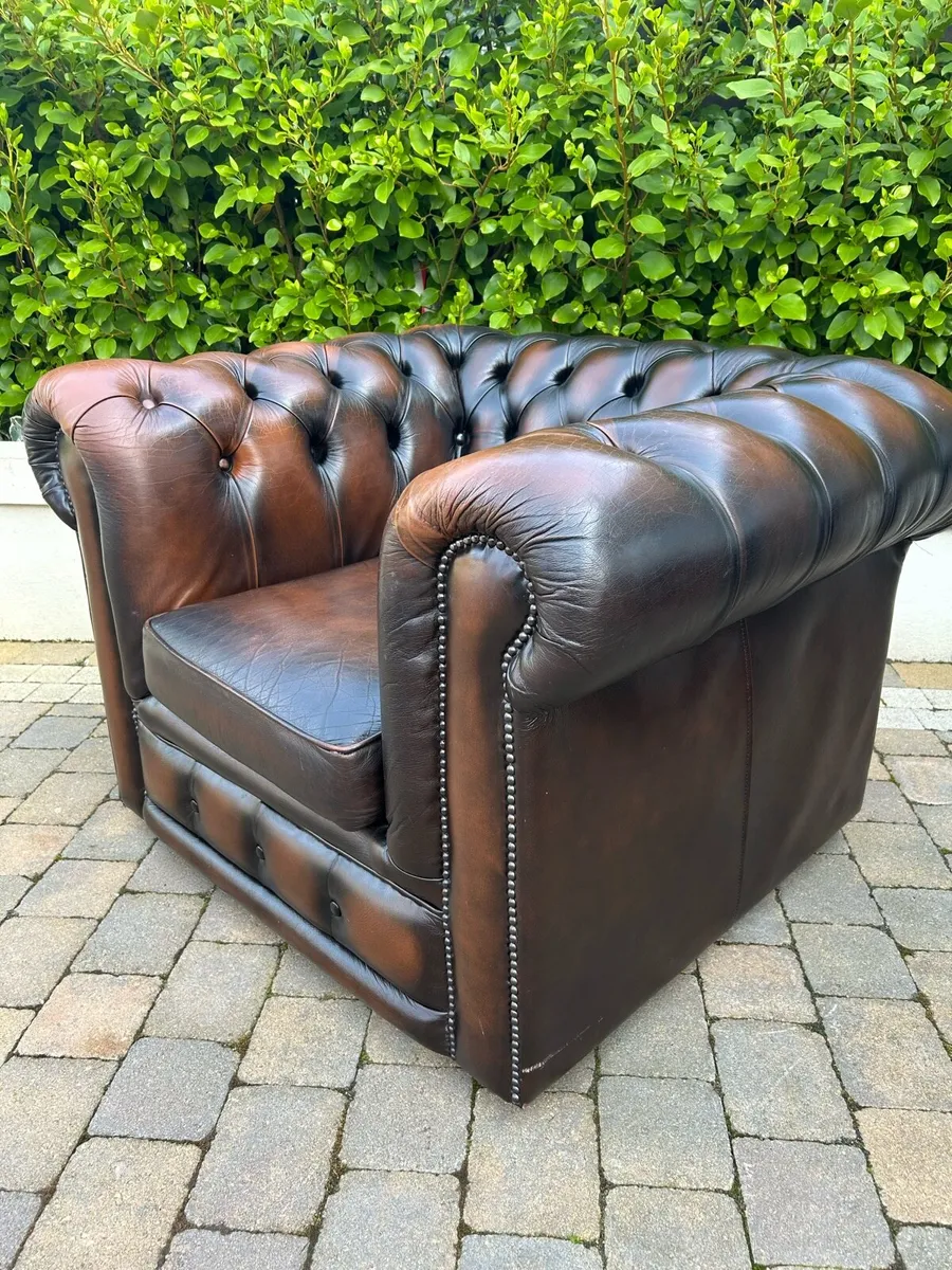 Chesterfield brown button back lounge chair - Image 1