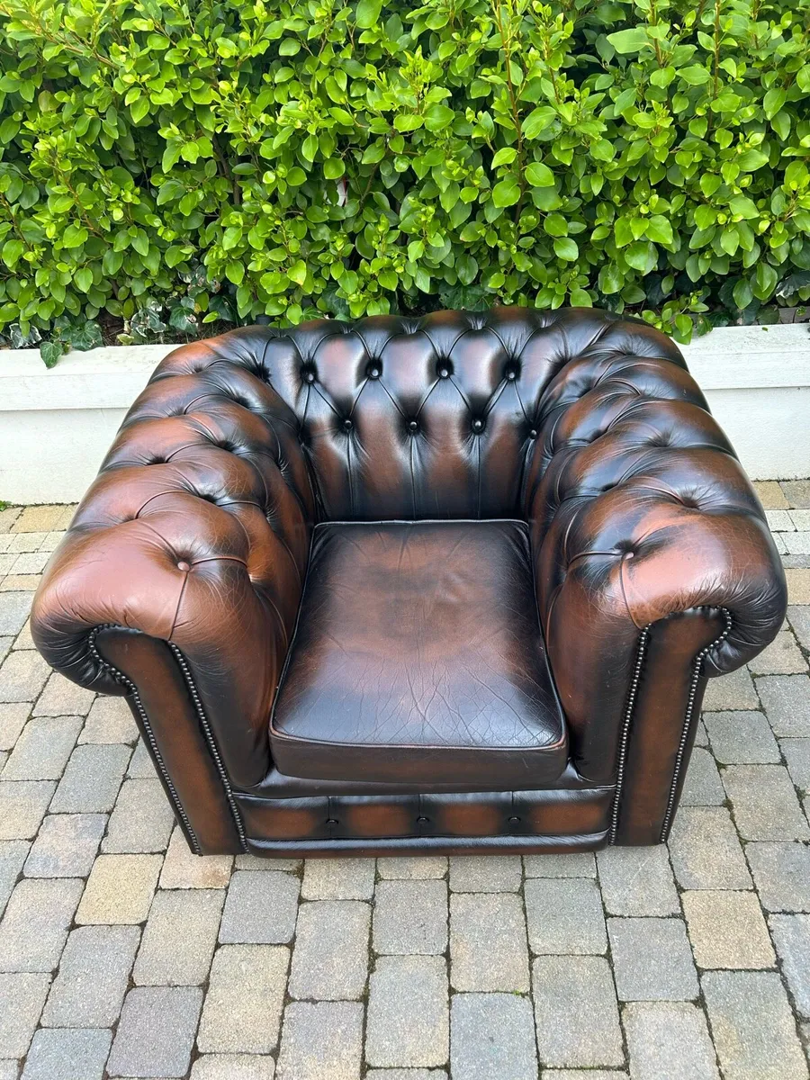 Chesterfield brown button back lounge chair - Image 2