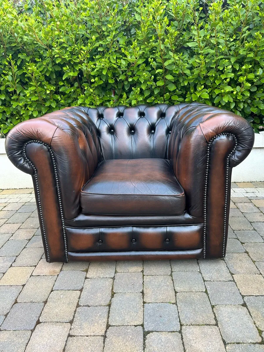 Chesterfield brown button back lounge chair - Image 3