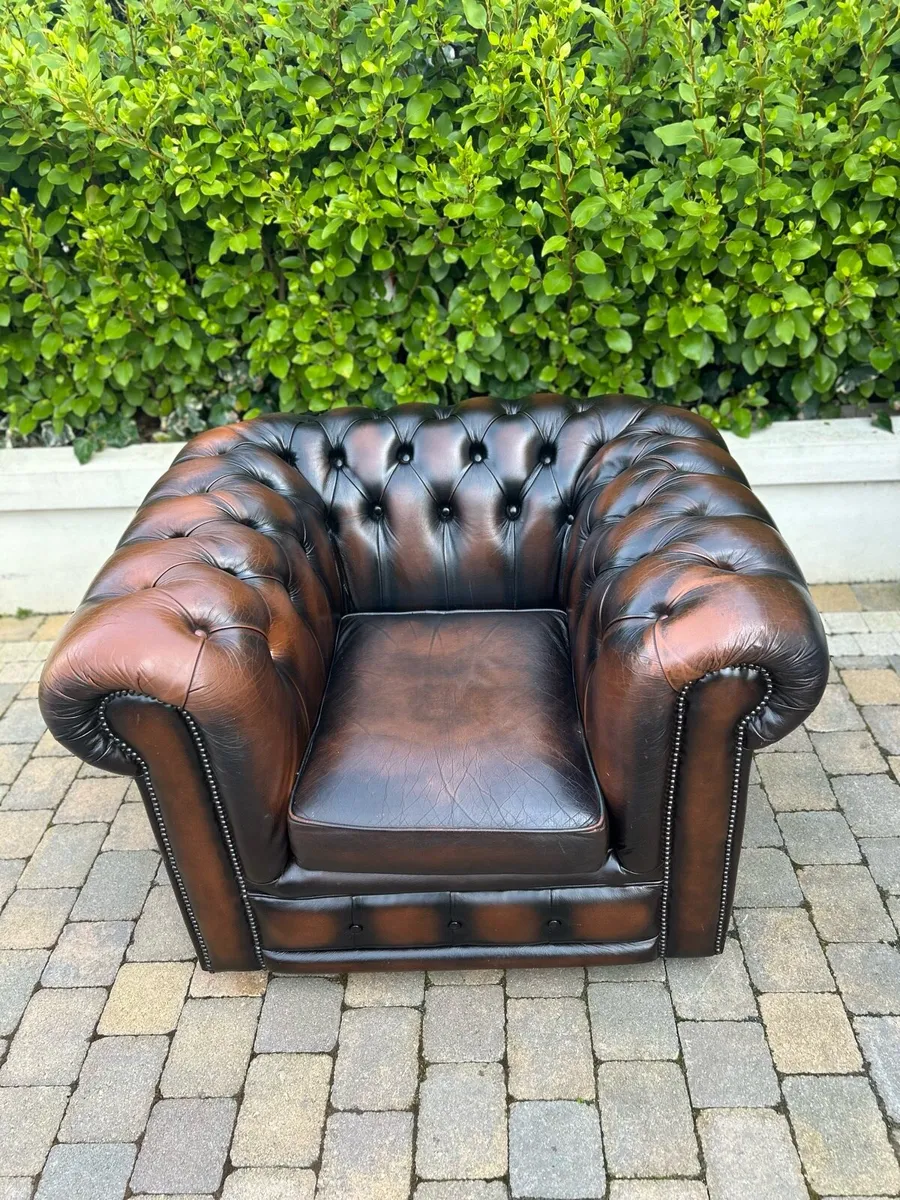 Chesterfield brown button back lounge chair - Image 4
