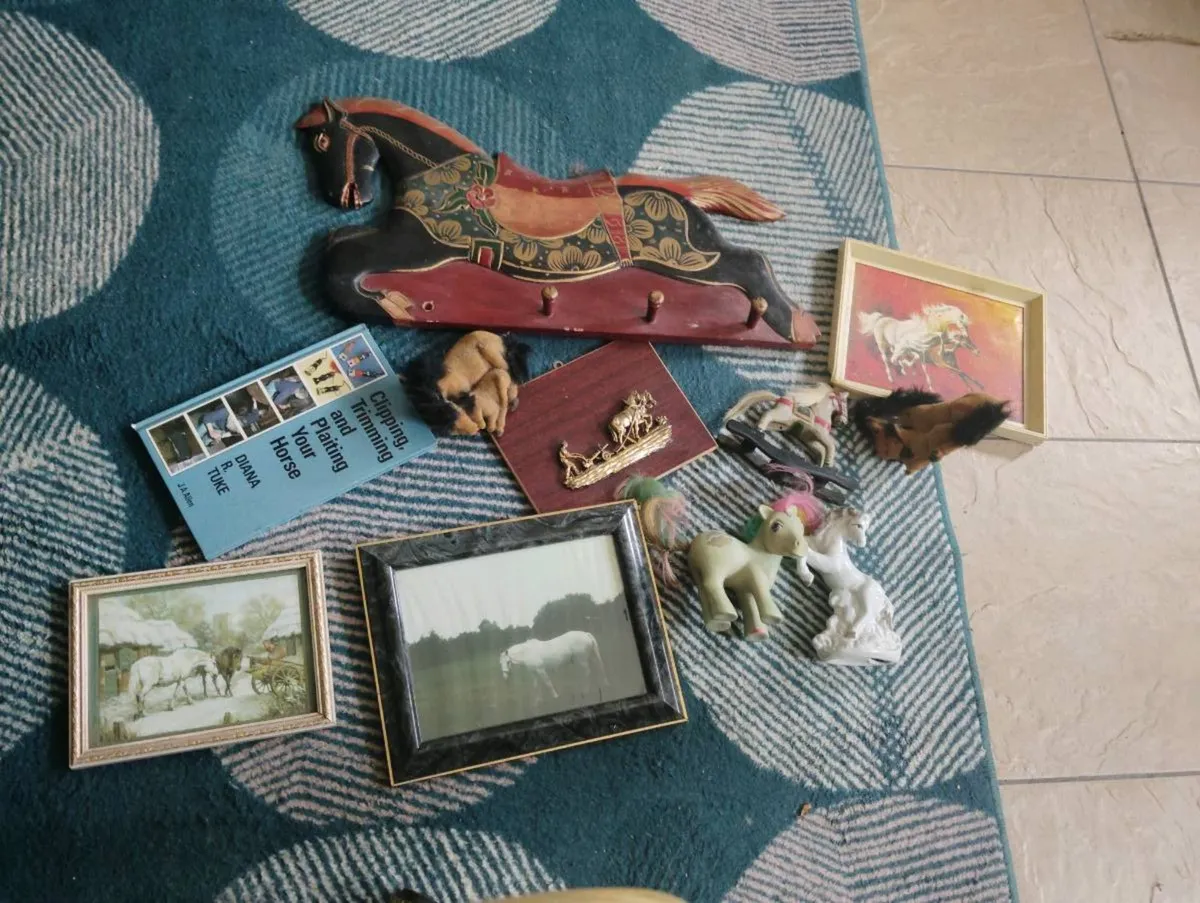 Photos of horses - Image 1