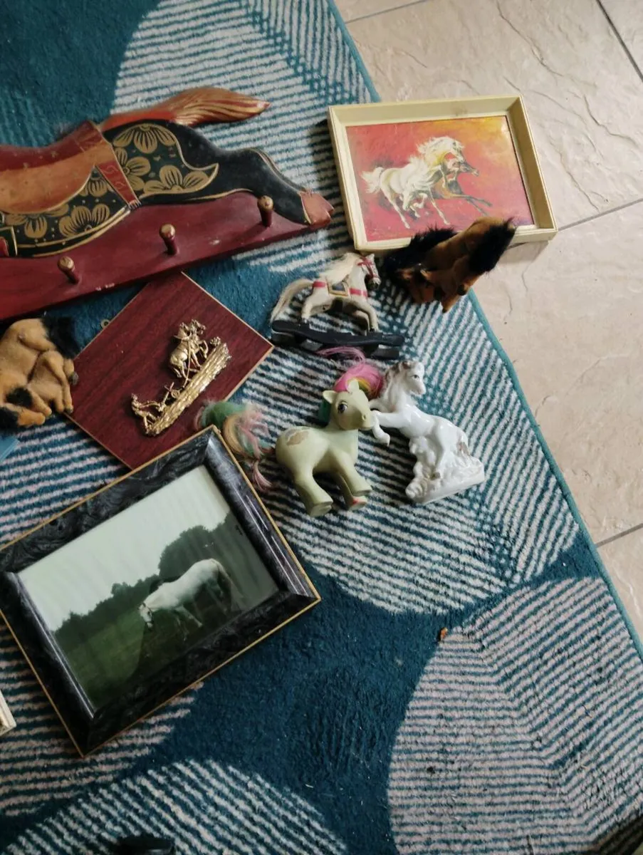 Photos of horses - Image 3