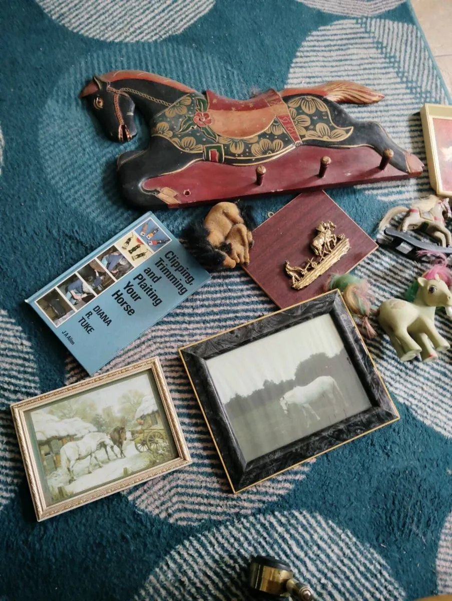 Photos of horses - Image 2