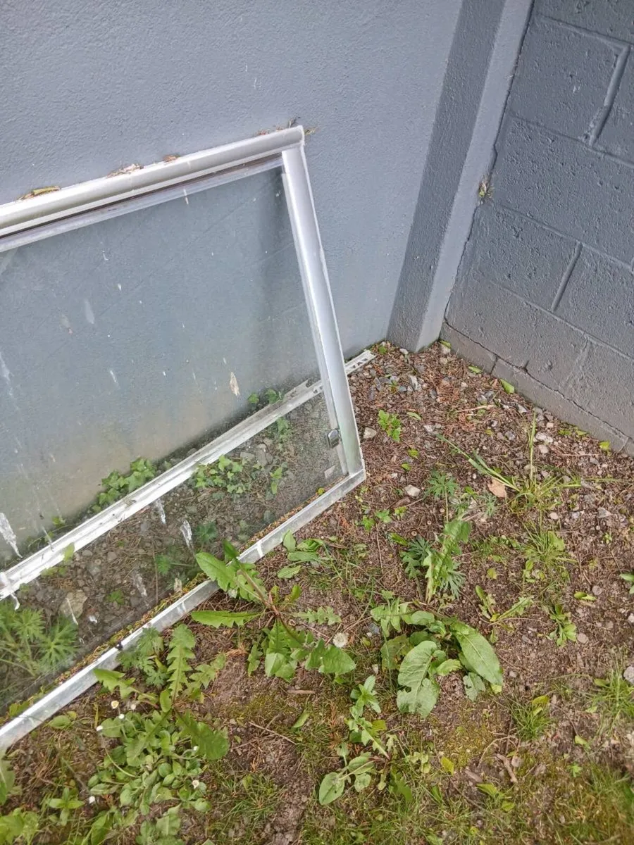 Shower door - Image 2