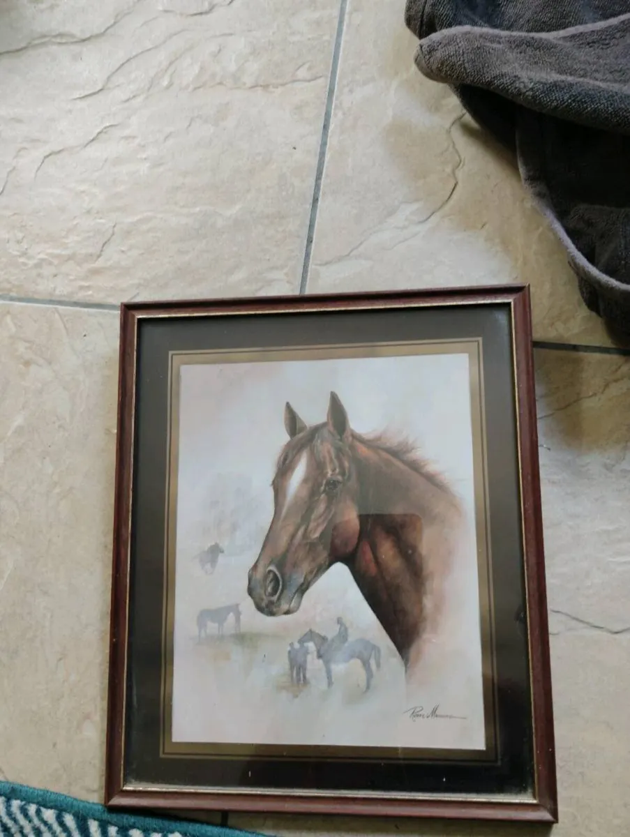 Picture of horse