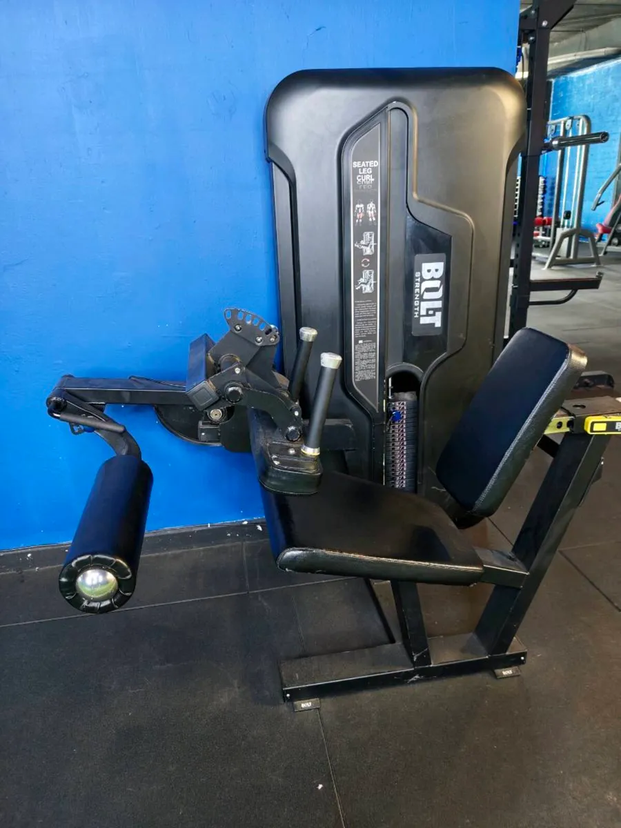 Seated leg curl - Image 1