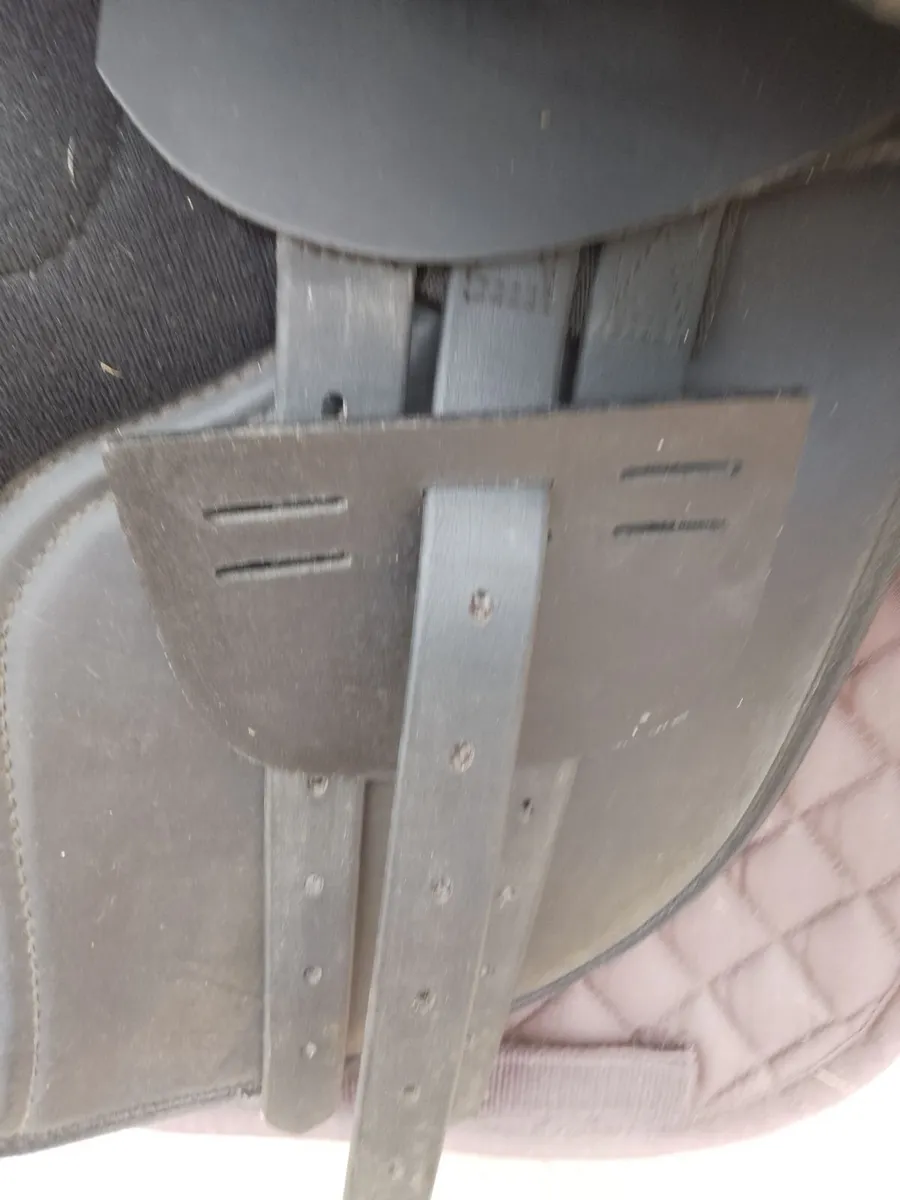 Saddle - Image 2