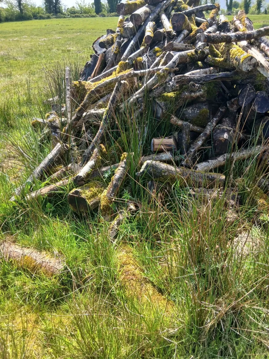 Fire wood - Image 2