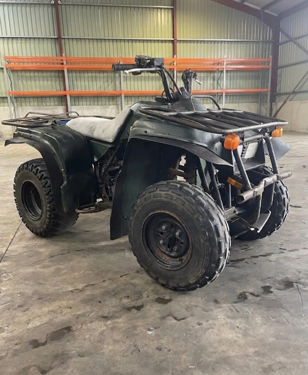 Yamaha 250 Bear Tracker - Image 2