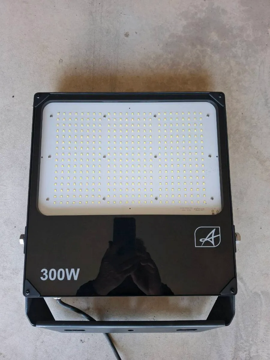 Ansell 300 watt Floodlight. IP66. - Image 1