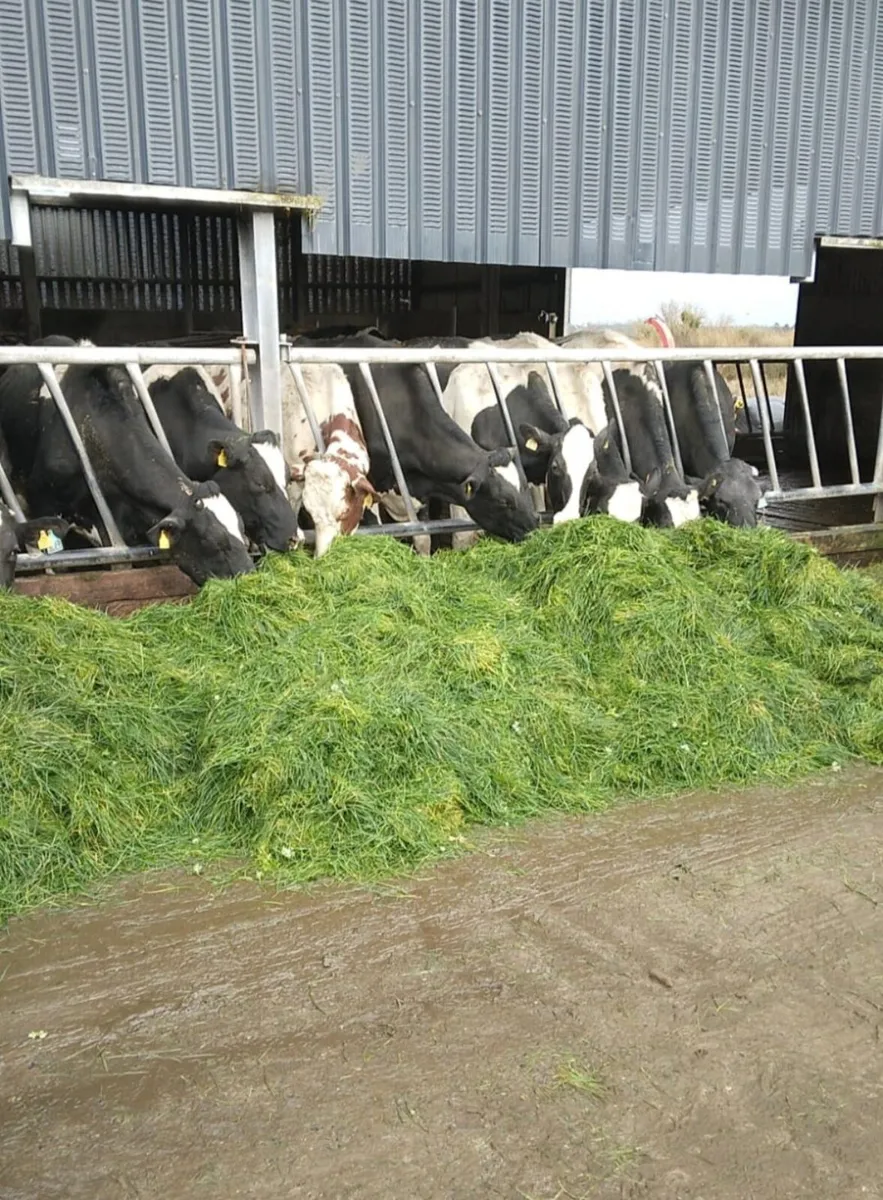 Zero Grazing Machines - Image 3