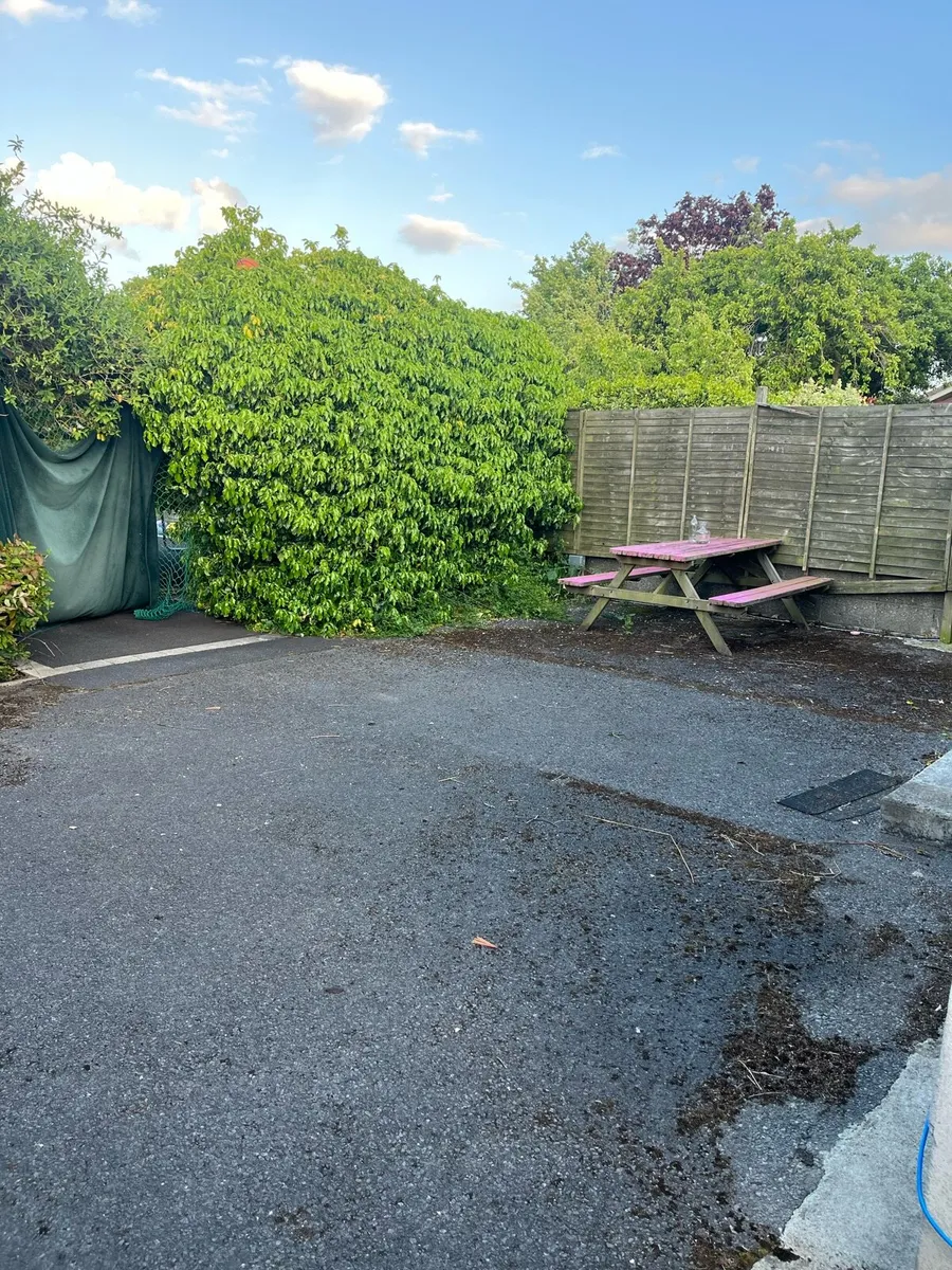 Apartment to let with garden - Image 3