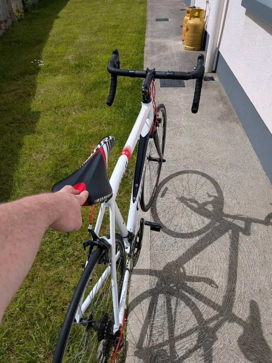 Wilier triestina road bike - Image 3