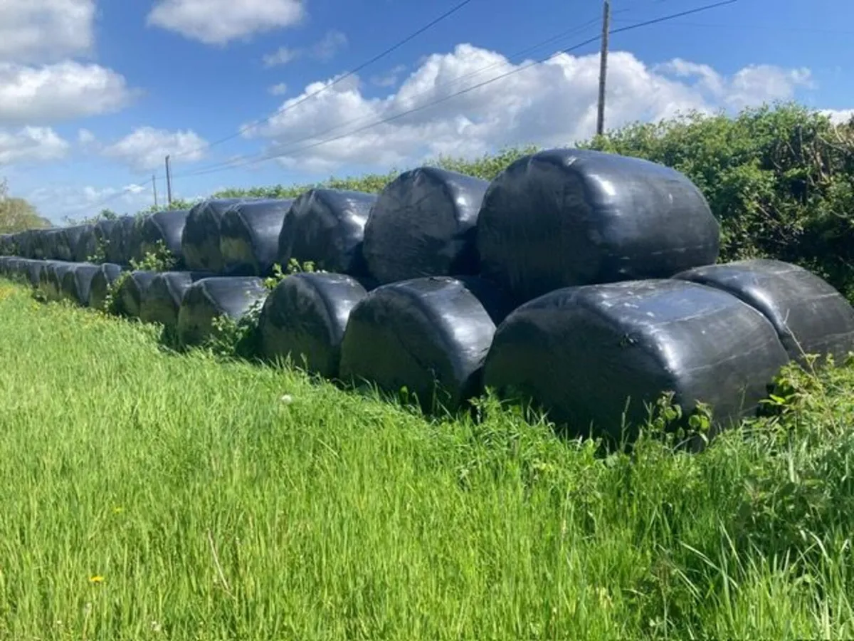 Bales of Silage