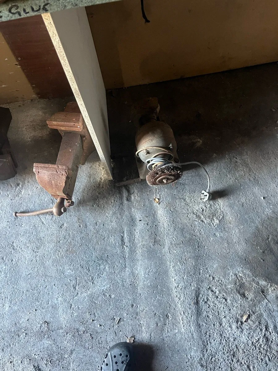 Shed clear out - Image 4