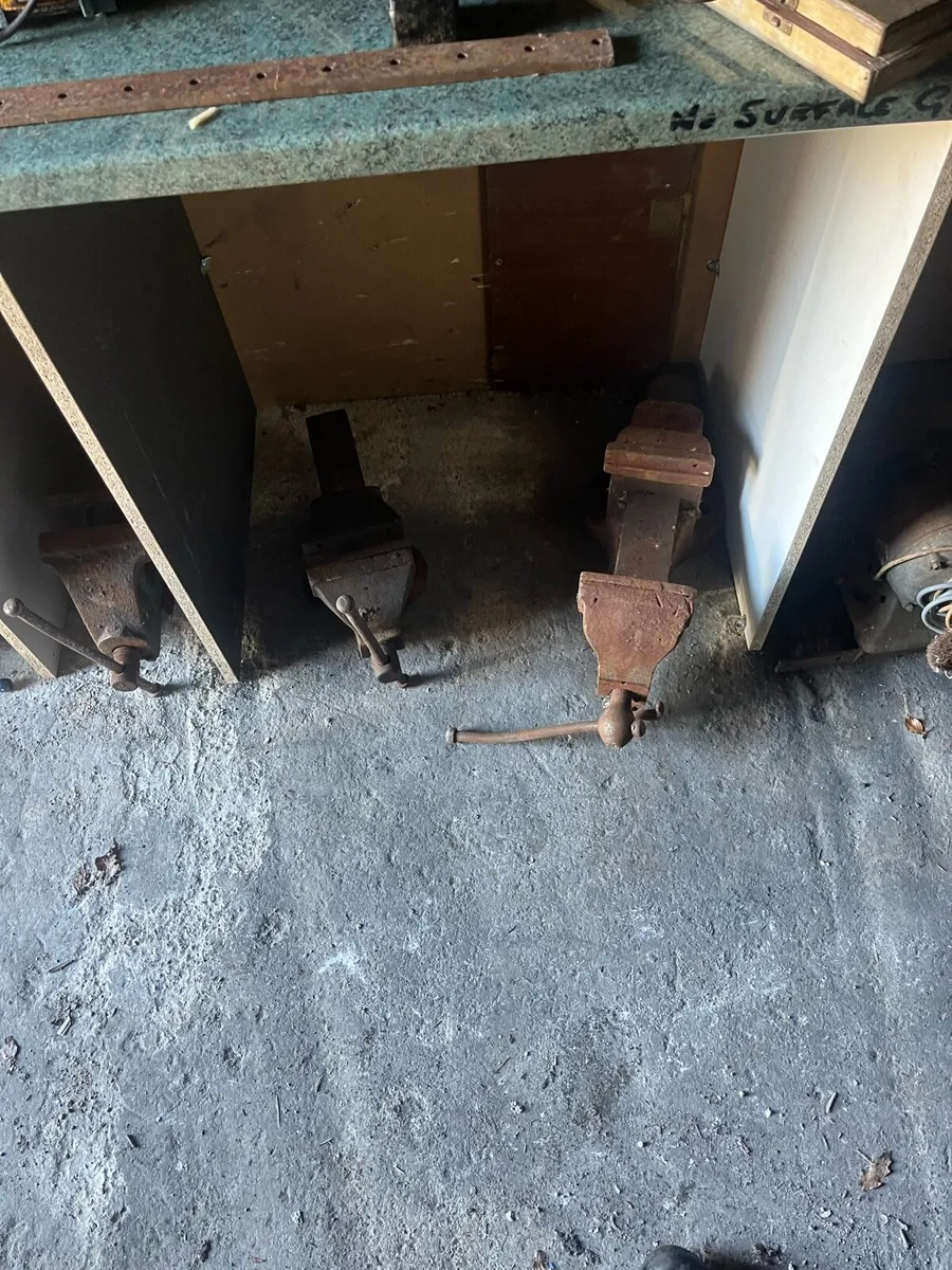 Shed clear out - Image 4