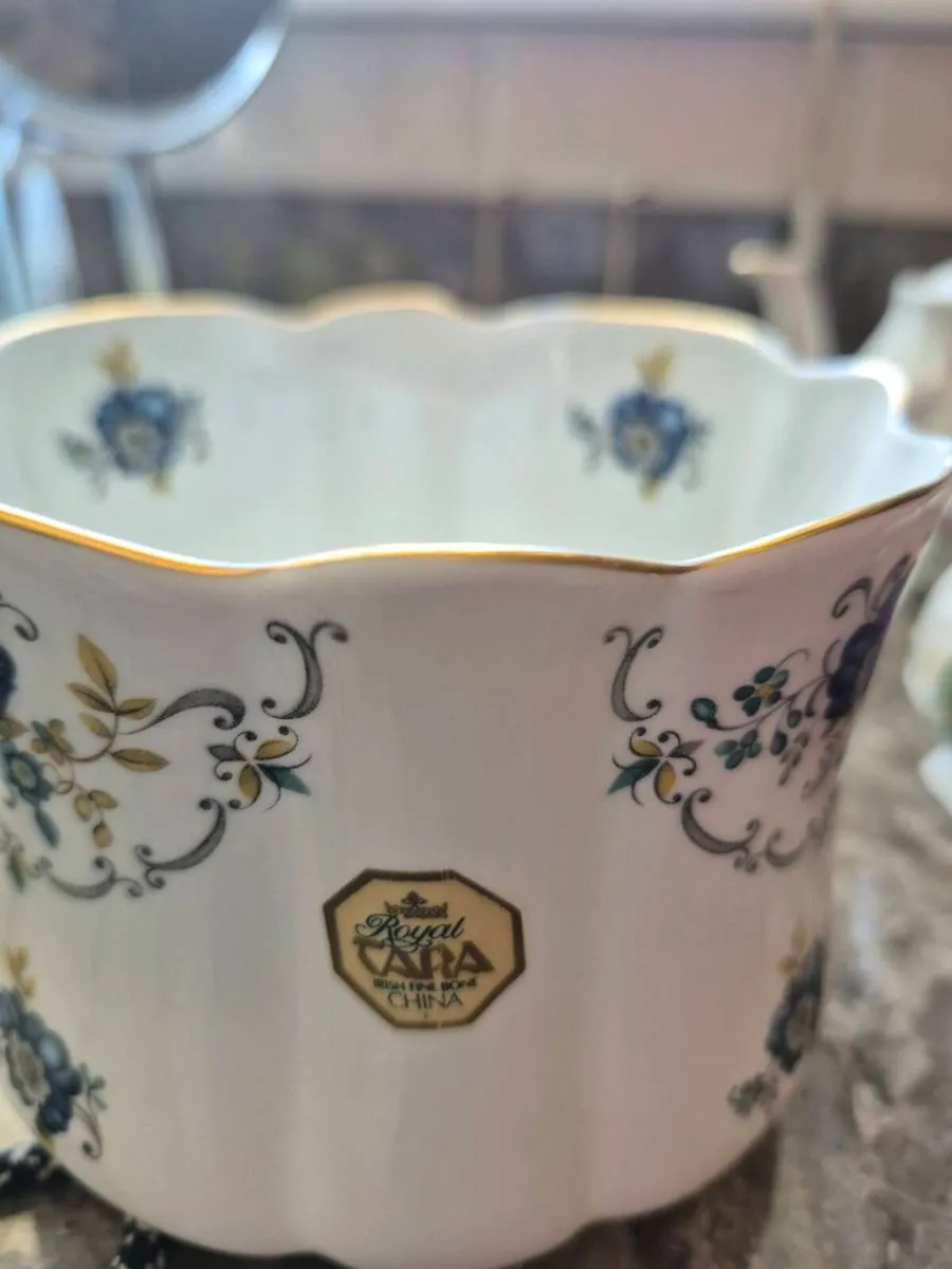 Royal tara flower pot