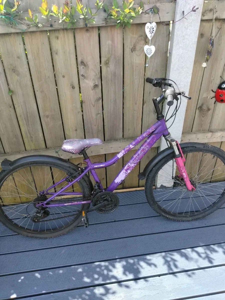 Bike - Image 1