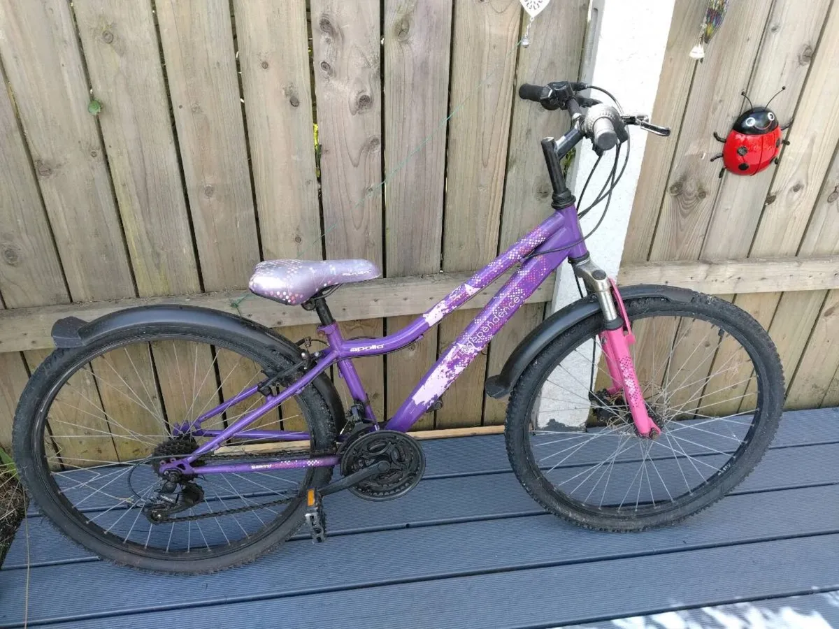 Bike - Image 2